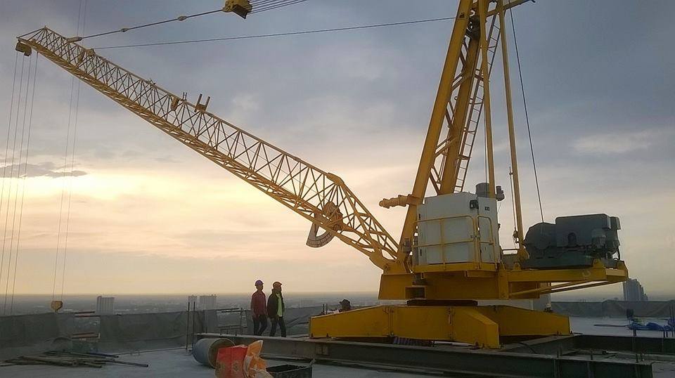 Derrick Crane TD3020-10