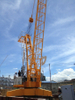 Derrick Crane TD3020-10