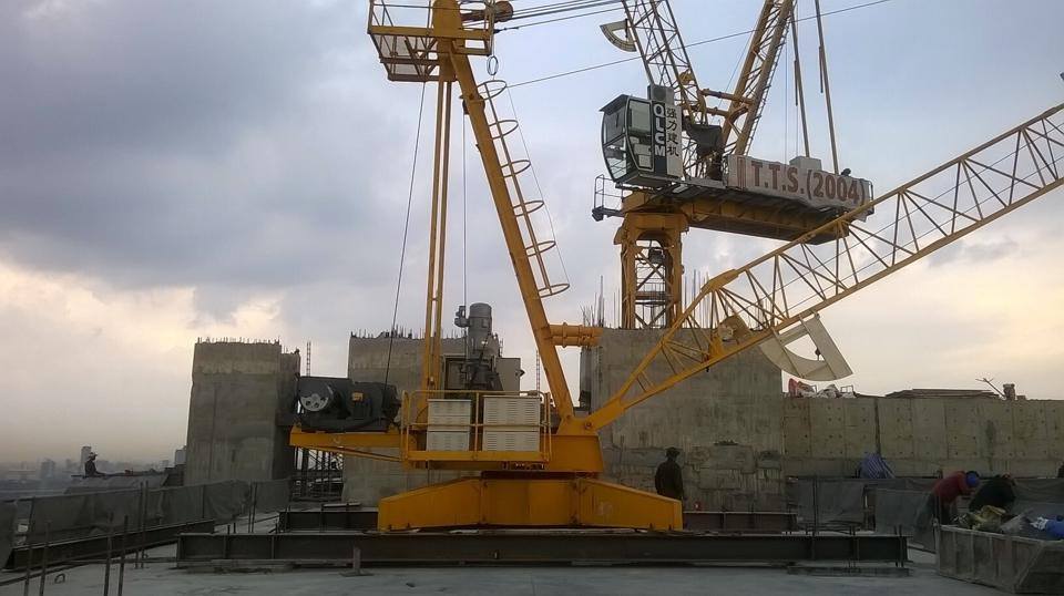Derrick Crane TD3020-10
