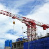 SP7080-50 QTZ900TM Topless Tower Crane 